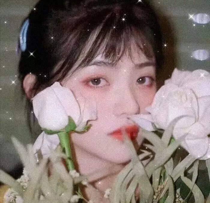 伊克巴尔之超级芯片