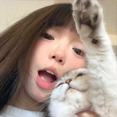送赞雪橇犬